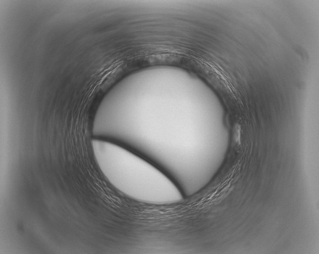 X0000116610915200912110957