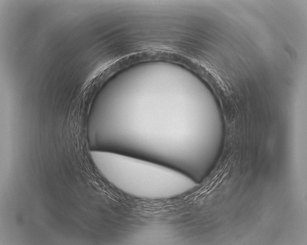 X0000116610919200912110957