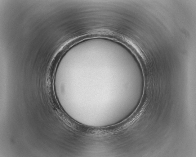X0000116610923200912110957