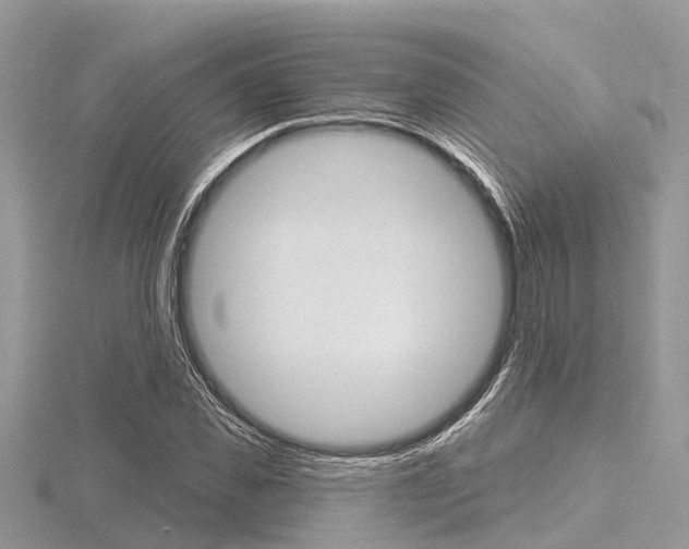 X0000116610925200912110957
