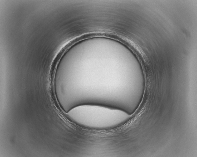 X0000116610927200912110957