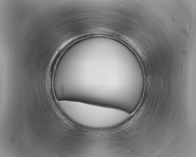 X0000116610931200912110958