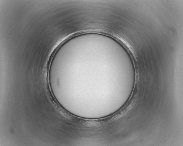 X0000116610933200912110958