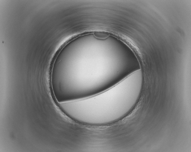 X0000116610942200912110958