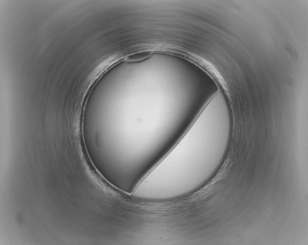 X0000116610946200912110958