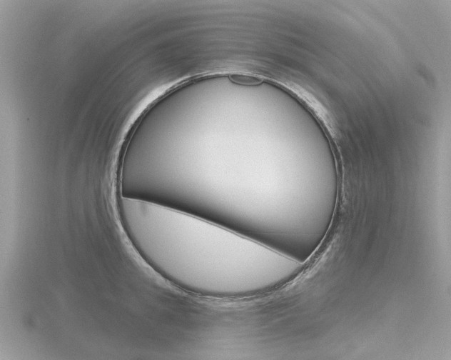 X0000116610949200912110958