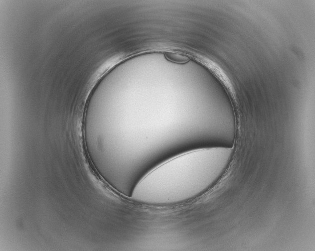 X0000116610954200912110958