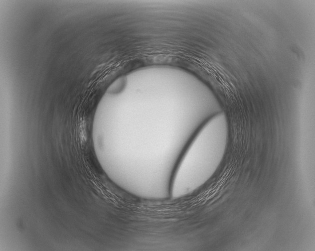 X0000116610962200912110957