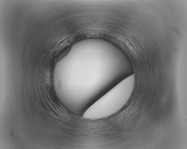X0000116610964200912110957