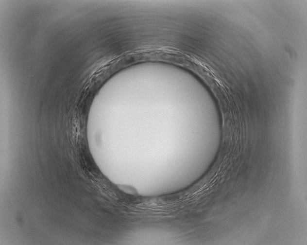 X0000116610966200912110957