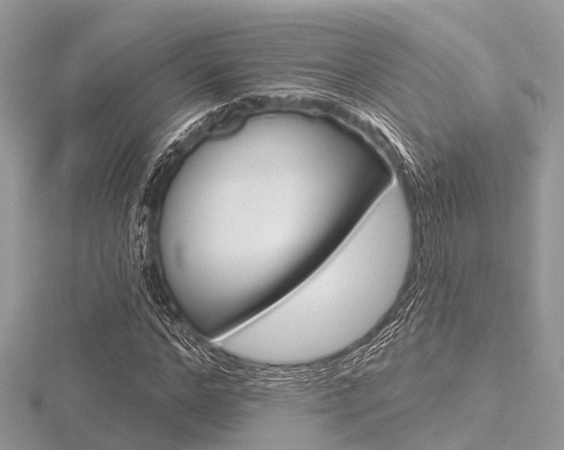 X0000116610968200912110957