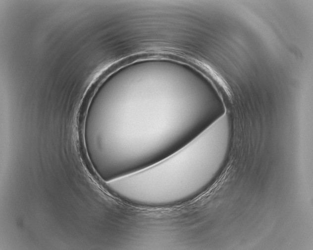 X0000116610972200912110957