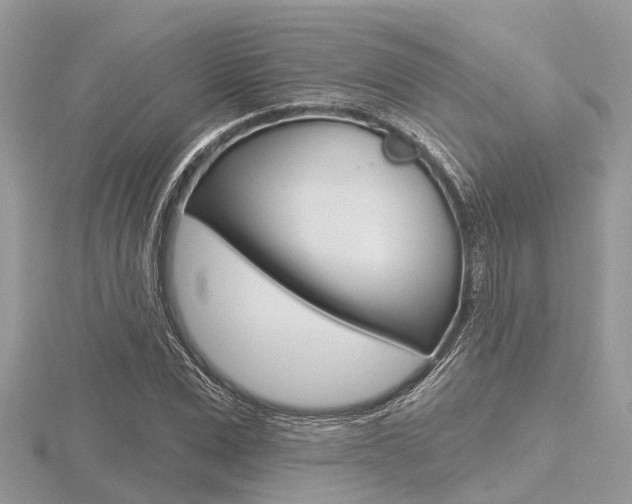 X0000116610975200912110957