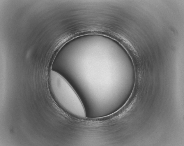 X0000116610977200912110957