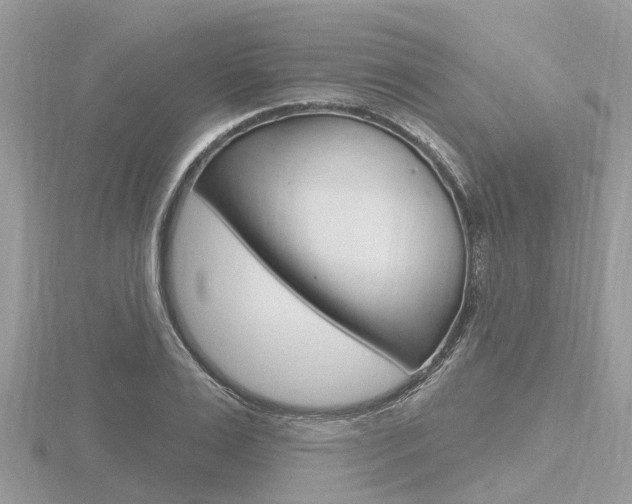 X0000116610983200912110957