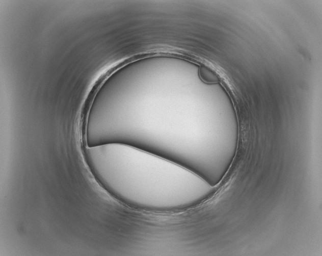 X0000116610987200912110957
