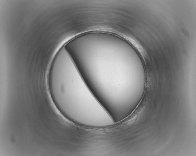 X0000116610999200912110957
