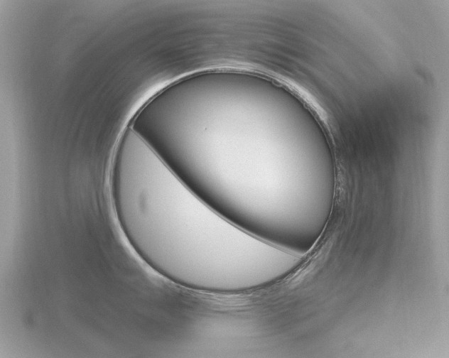 X0000116611007200912110957