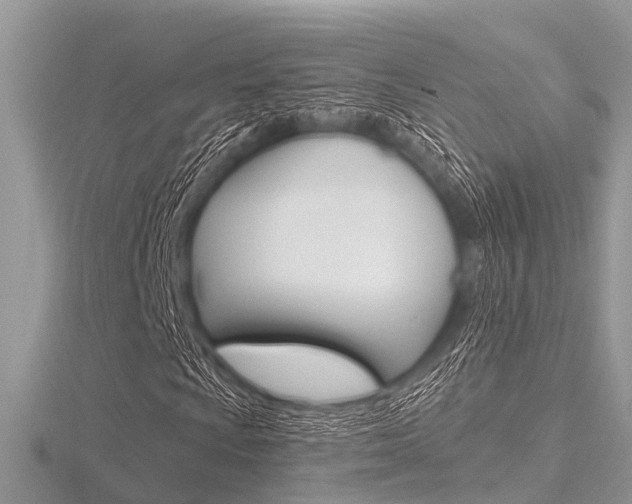 X0000116611009200912110956