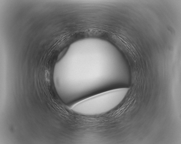 X0000116611010200912110956