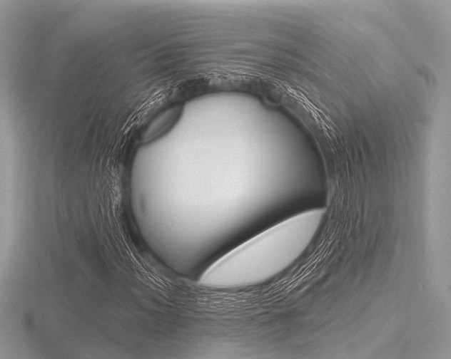 X0000116611012200912110956