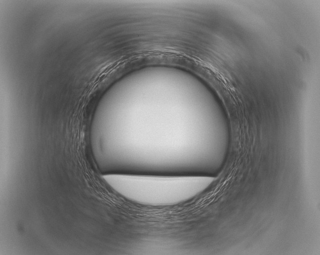 X0000116611013200912110956