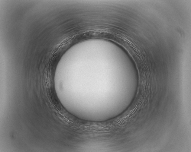 X0000116611014200912110956