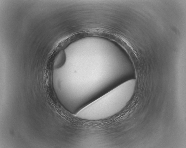 X0000116611016200912110956