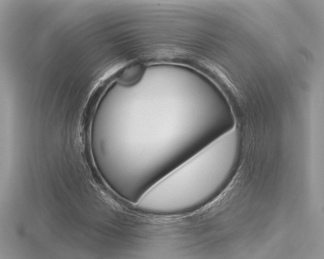 X0000116611018200912110956