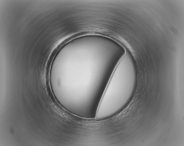 X0000116611020200912110956