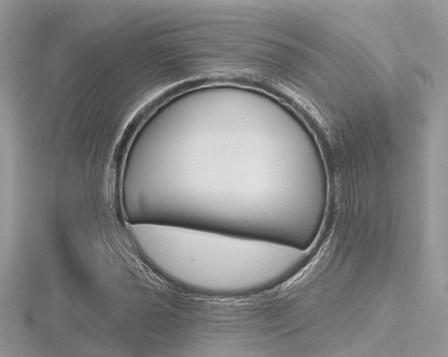 X0000116611021200912110956