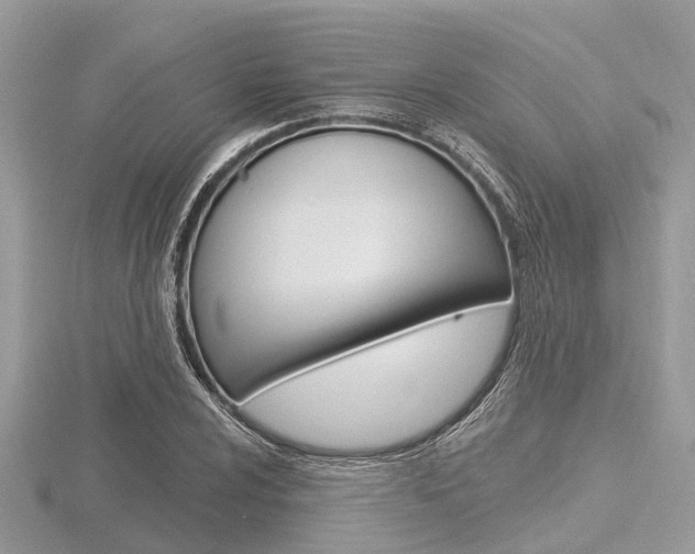 X0000116611024200912110956
