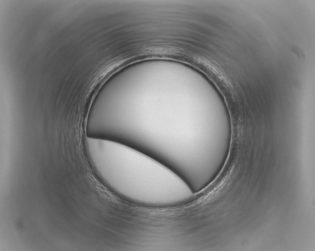 X0000116611025200912110956