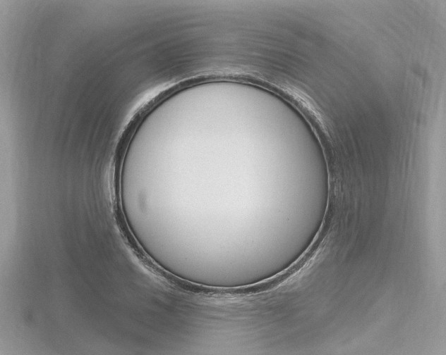 X0000116611030200912110956