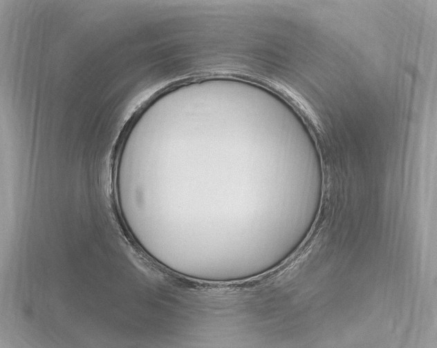 X0000116611031200912110956