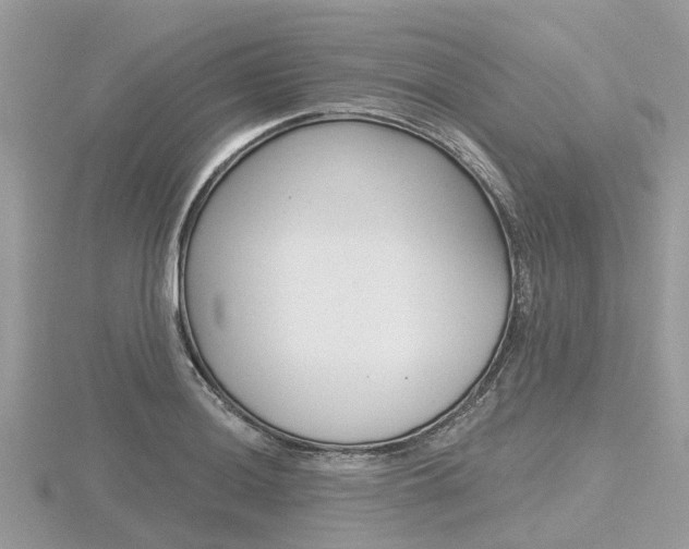 X0000116611036200912110956