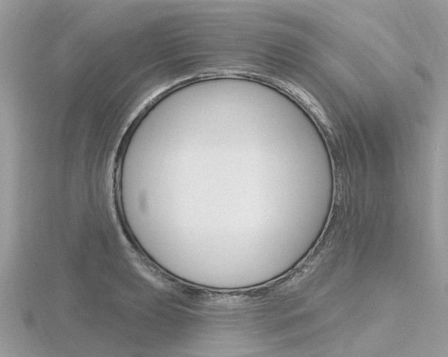X0000116611039200912110956