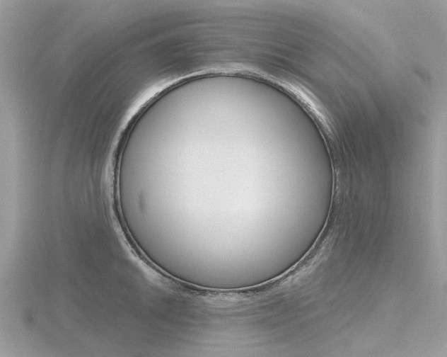 X0000116611046200912110957