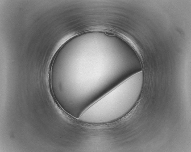 X0000116611050200912110957