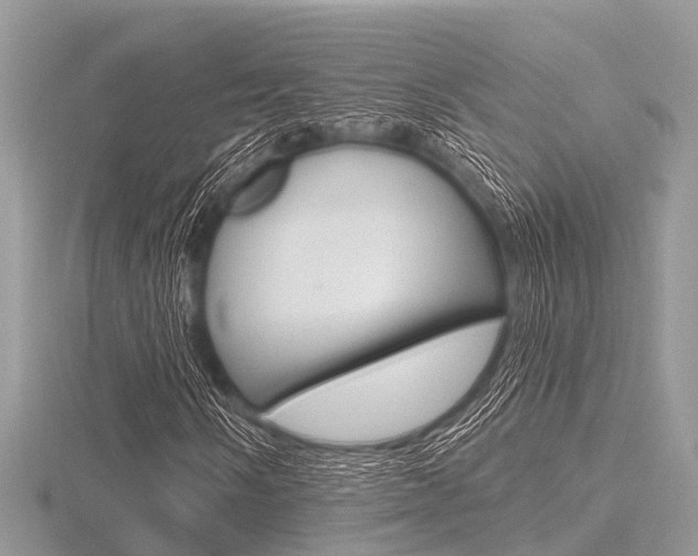 X0000116611058200912110956