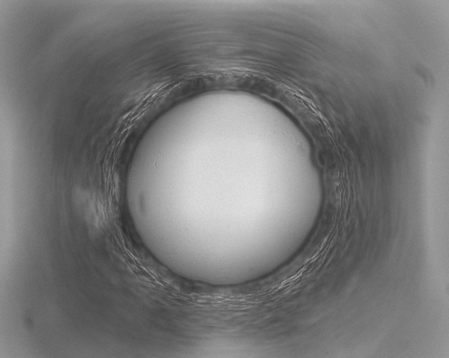 X0000116611061200912110956