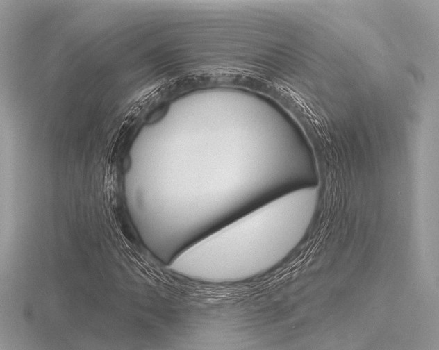 X0000116611062200912110956