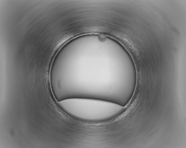 X0000116611073200912110956