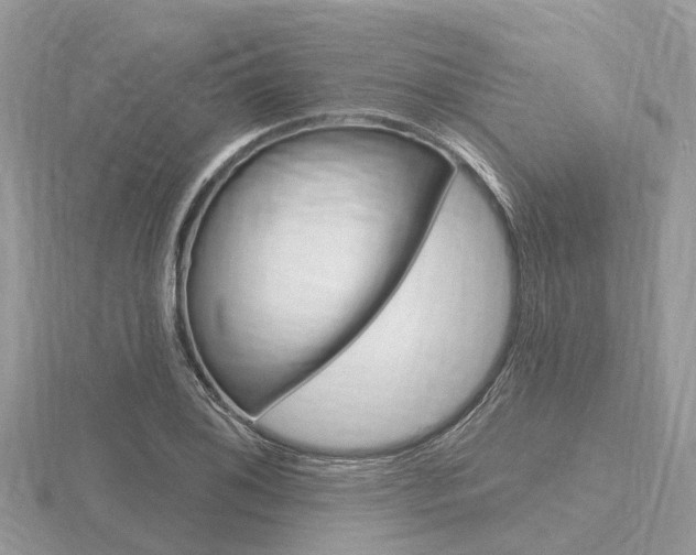 X0000116611076200912110956
