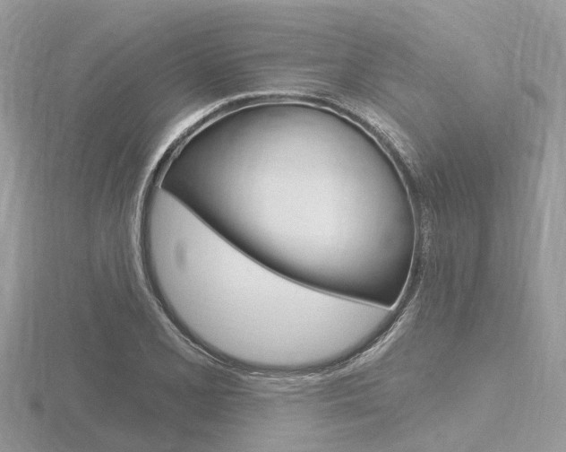 X0000116611077200912110956