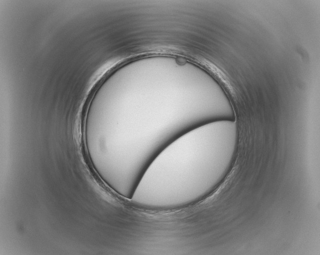 X0000116611082200912110956
