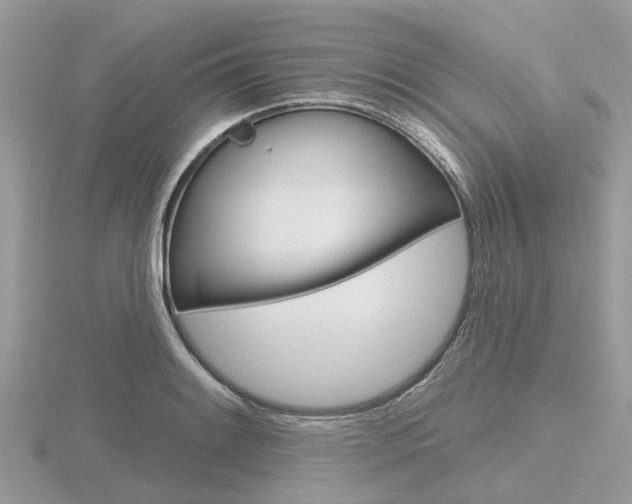X0000116611084200912110956