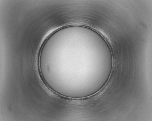 X0000116611086200912110956