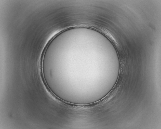X0000116611087200912110956