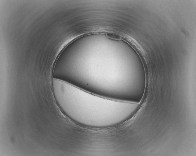 X0000116611089200912110956